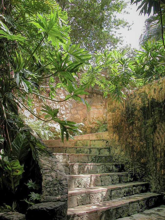 Steps near cenote - Chichen Itza #1 Photograph by Frank Mari