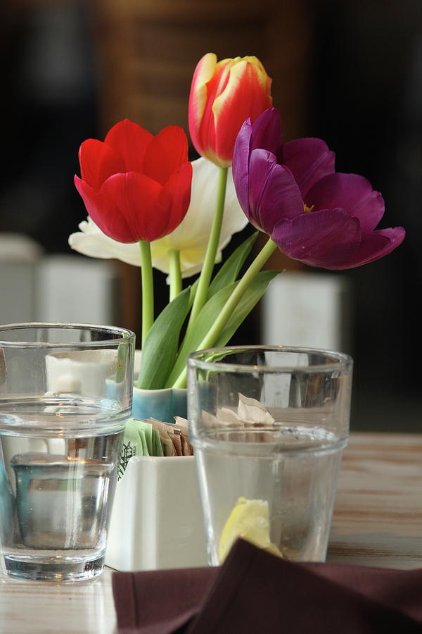 Still Life - Tulips, Color Photograph by Steve Raley