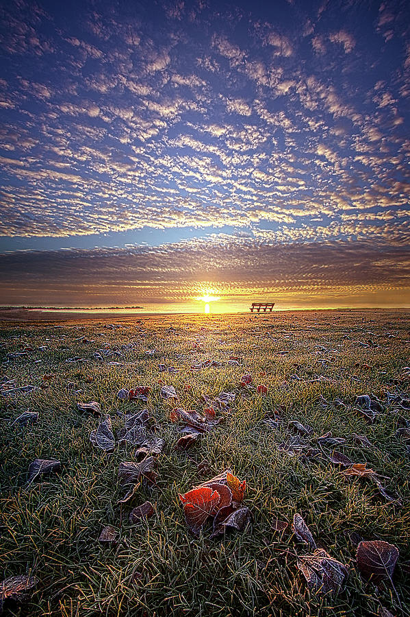Stilled Life #1 Photograph by Phil Koch