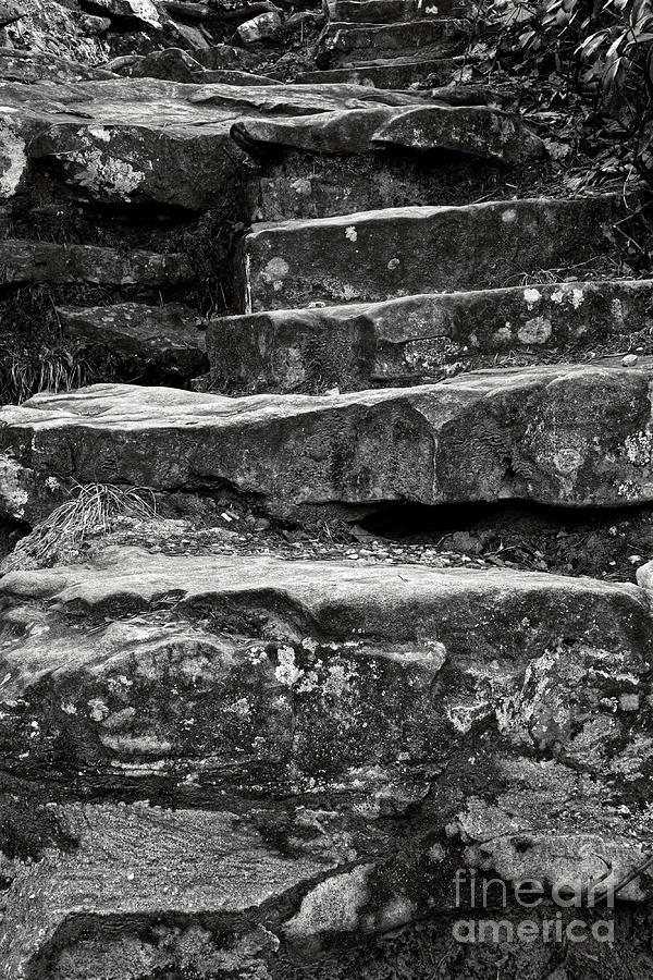 Stone Steps #1 Photograph by Phil Perkins