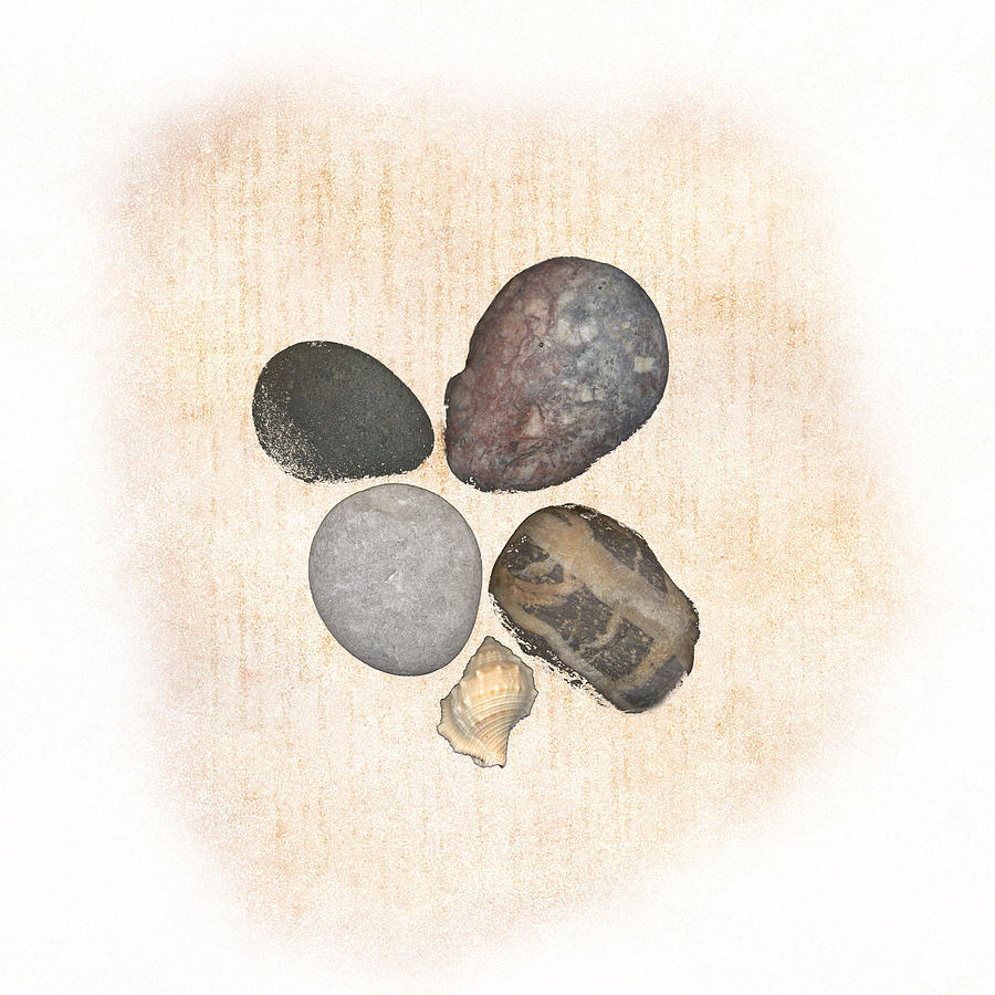 Stones & Shells #1 Drawing by Jeff Venier