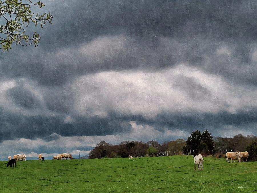 Stormy Pasture Photograph by Kathy Barney