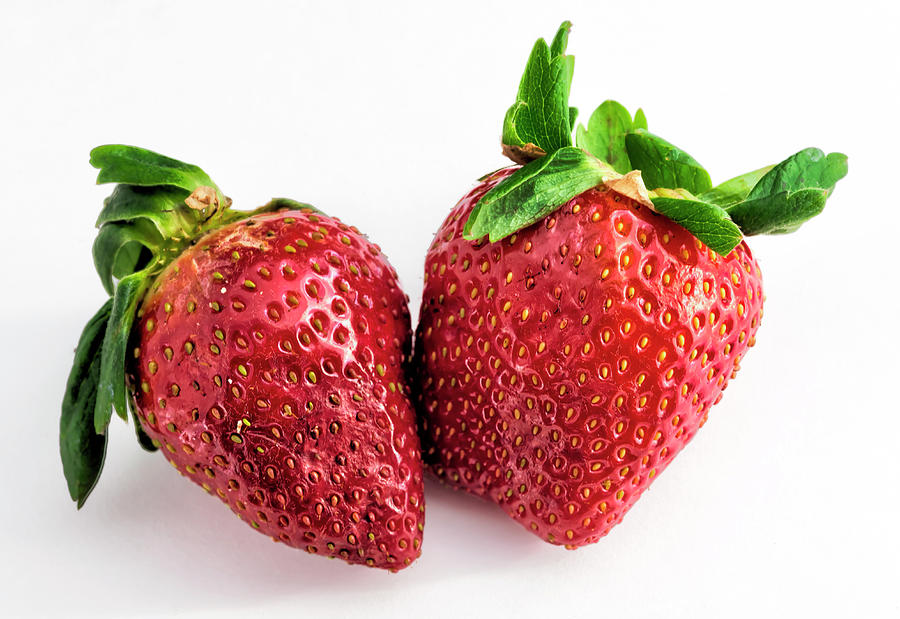 Strawberries #1 Photograph by Robert Ullmann