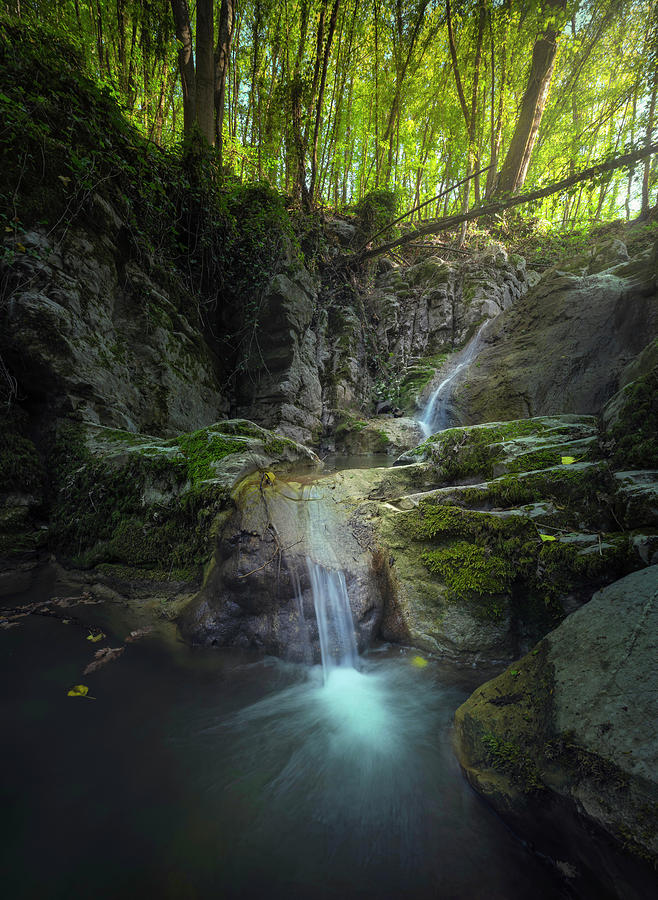 Stream waterfall inside a forest. Tuscany #1 Photograph by Stefano Orazzini