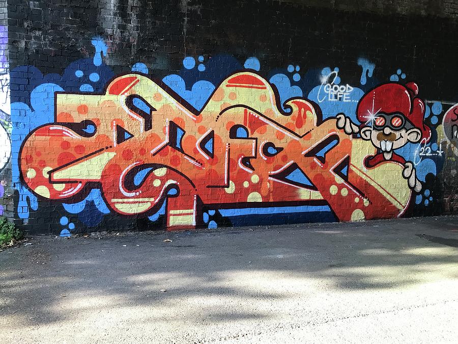 Street Art Graffiti Fallowfield Loop Manchester Photograph by Peter ...