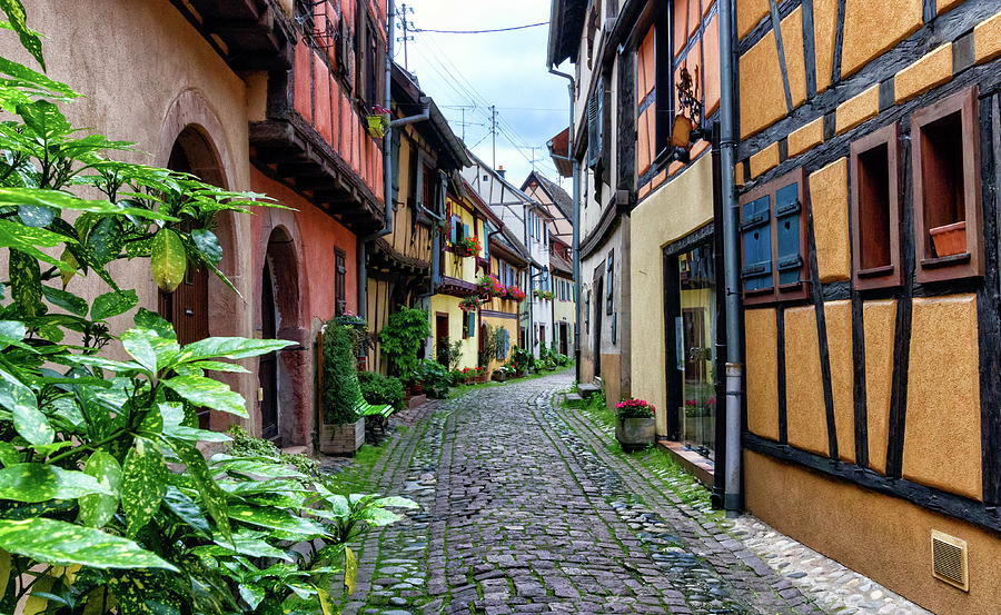 Street in Eguisheim, Alsace, France #1 Photograph by Elenarts - Elena Duvernay photo