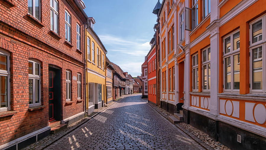 Street in medieval city of Ribe, Denmark #1 Photograph by Elenarts - Elena Duvernay photo