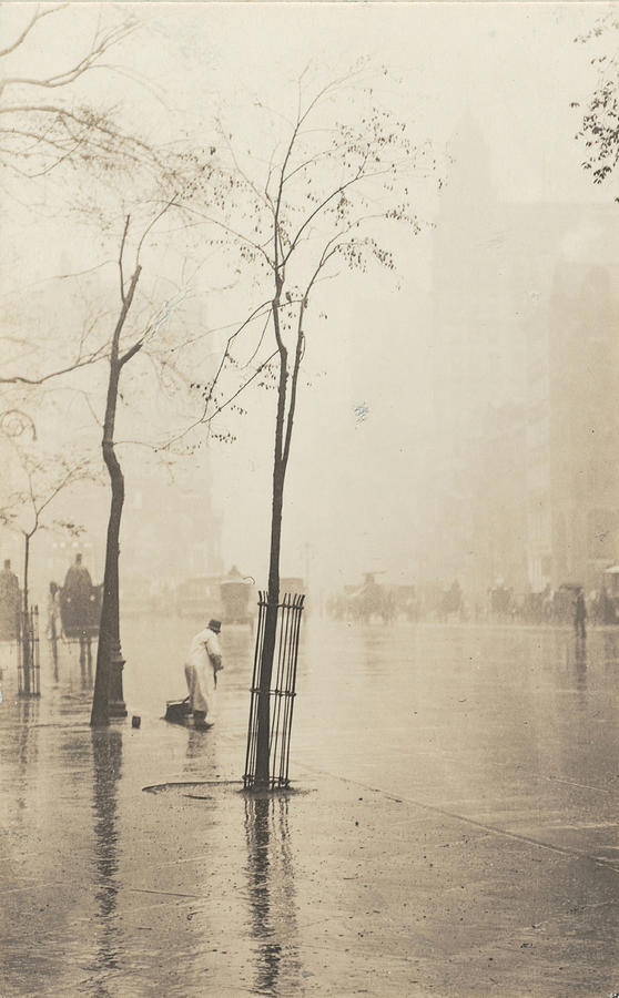 Street Sweeper and Little Tree #1 Photograph by Alfred Stieglitz