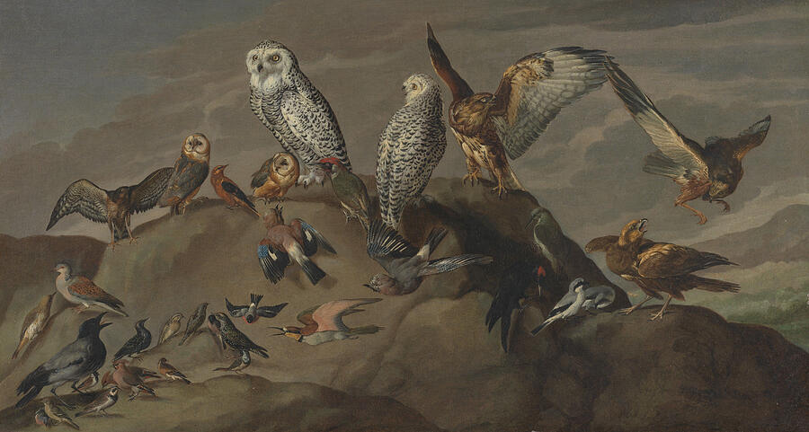 Study of Birds, from circa 1840 Painting by Unknown Artist