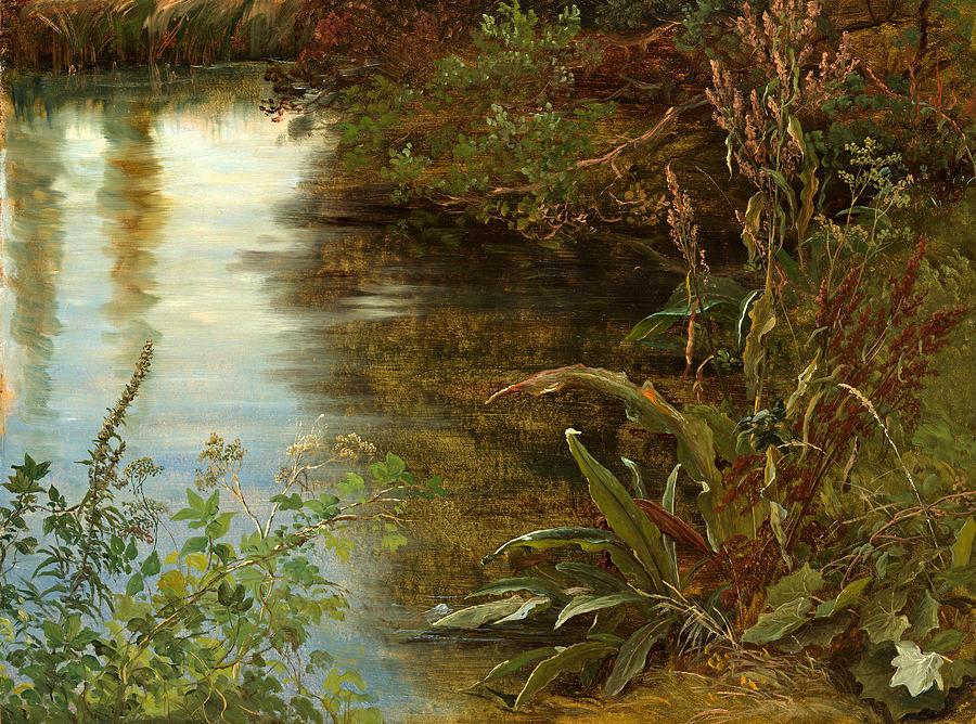 Study of Water and Plants #2 Painting by Thomas Fearnley