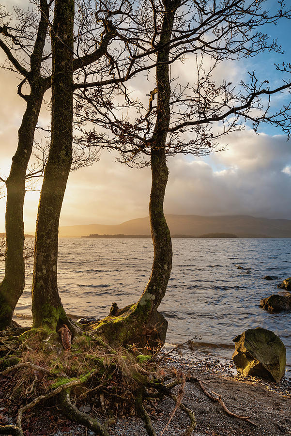 Stunning landscape image of Milarrochy Bay on Loch Lomond in Sco ...