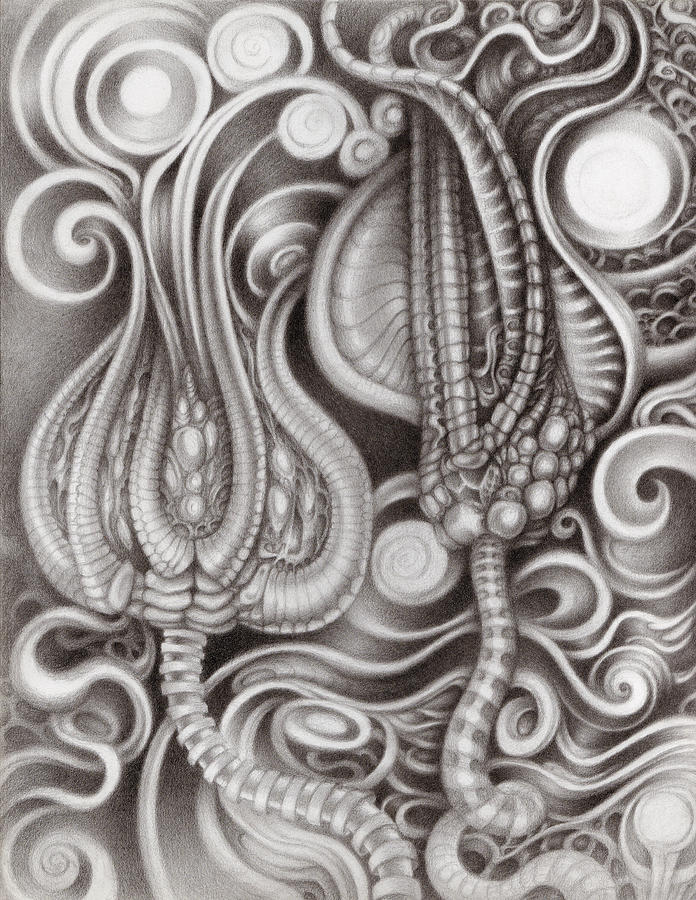 Pencil Drawing - Subterranean Garden by Kati Astraeir Pencil Drawing - Subterranean Garden by Kati Astraeir