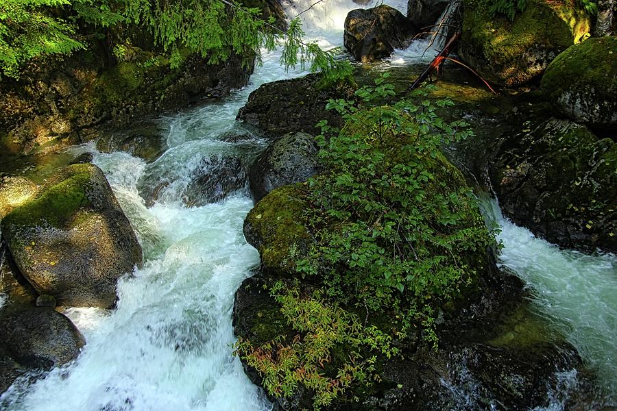 Summer Falls Photograph By Vernon Platt - Fine Art America