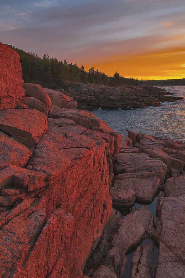 Summer Sunrise - Acadia National Park #1 Photograph by Stephen Vecchiotti
