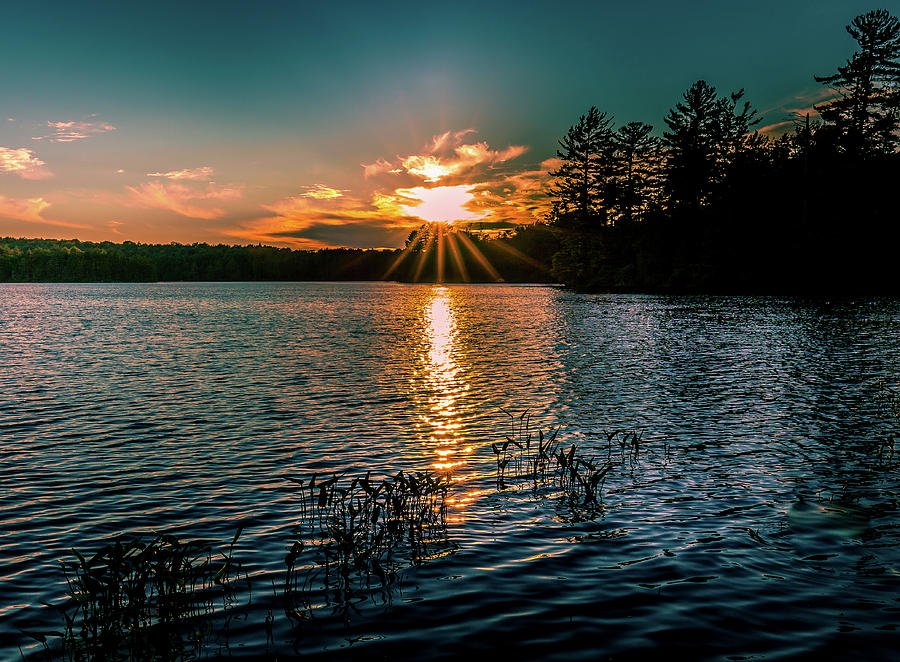 Sun Setting on Nicks Lake #1 Photograph by David Patterson
