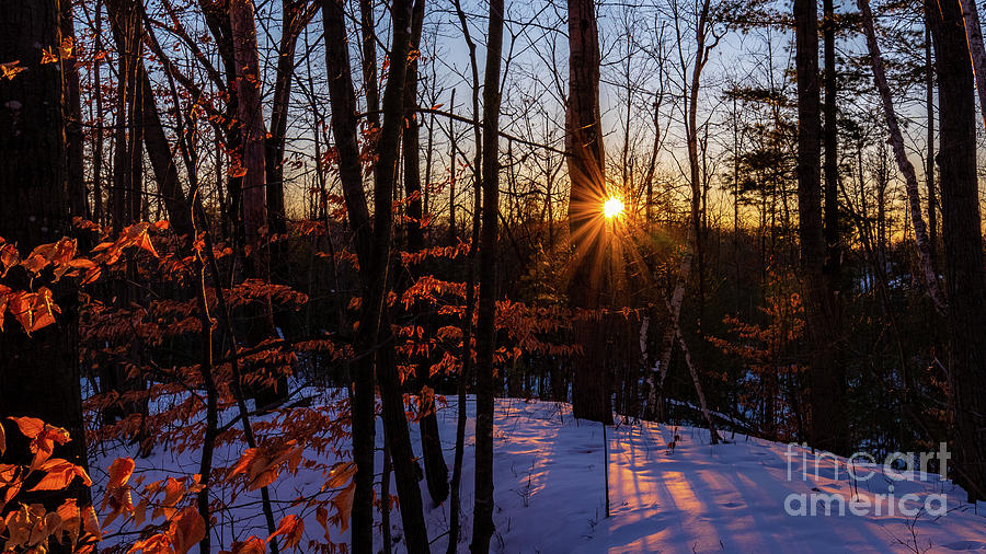 Sun star in winter #1 Photograph by Nathan Wasylewski