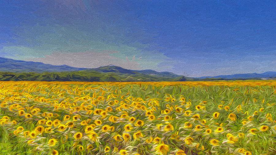 Sunflower Art Dreaming Photograph
