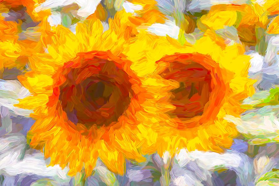 Sunflower Dreaming Art Photograph