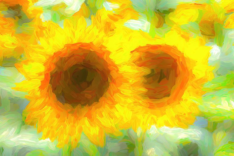 Sunflower Dreams Art Photograph