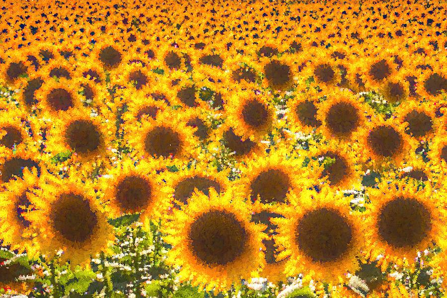 Sunflower Pastel Art Photograph