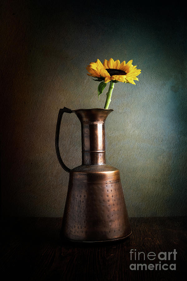 Sunflower #1 Photograph by Patti Schulze