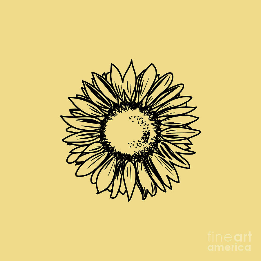 Sunflower Outline Vector Art, Icons, and Graphics for Free Download