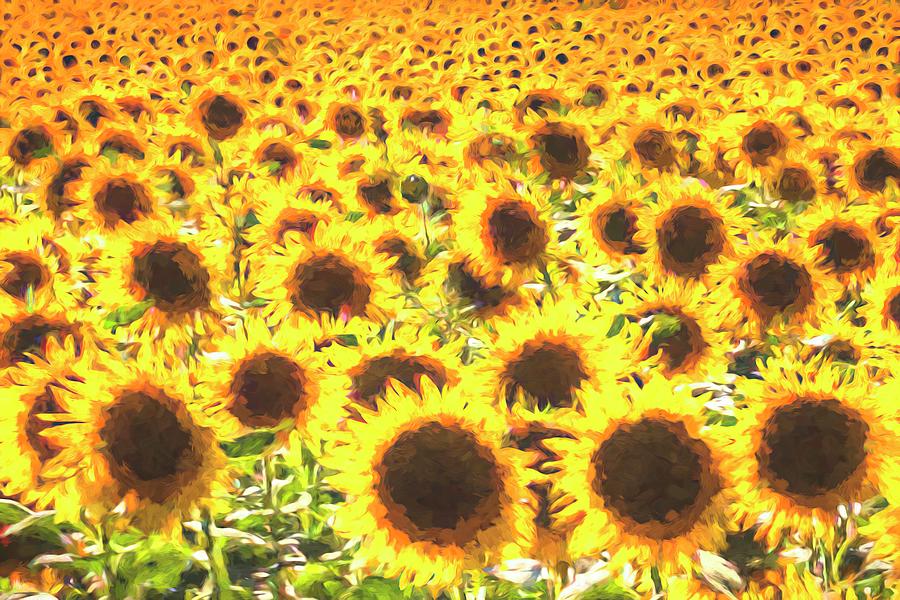 Sunflowers Monet Style Photograph
