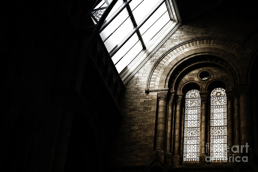 Sunlight and stained glass windows in the Natural History Museum #1 Photograph by Jane Rix Sunlight and stained glass windows in the Natural History Museum #1 Photograph by Jane Rix