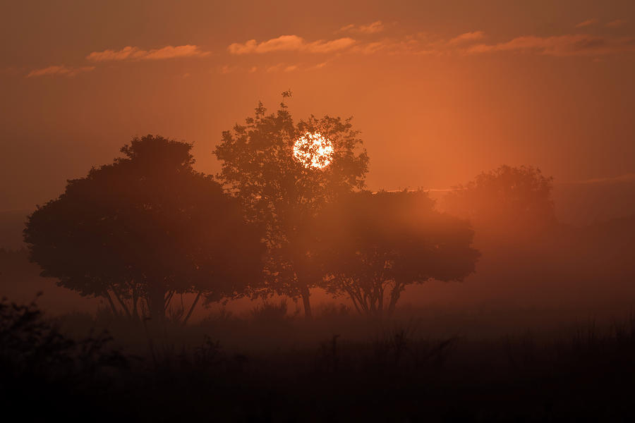 Sunrise Photograph by Anna Stelloo - Fine Art America