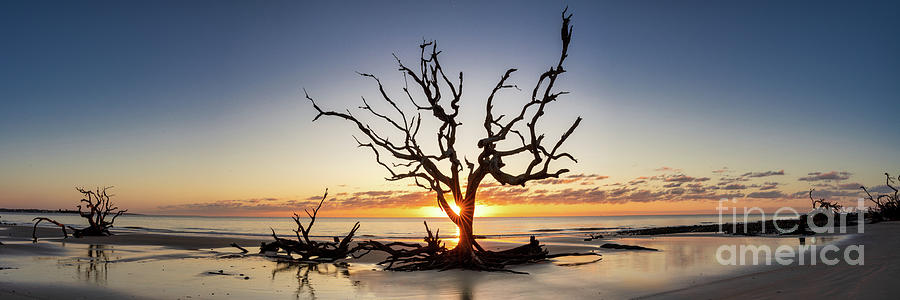 Sunrise at Driftwood Beach Pano 2- Photograph by Bee Creek Photography - Tod and Cynthia