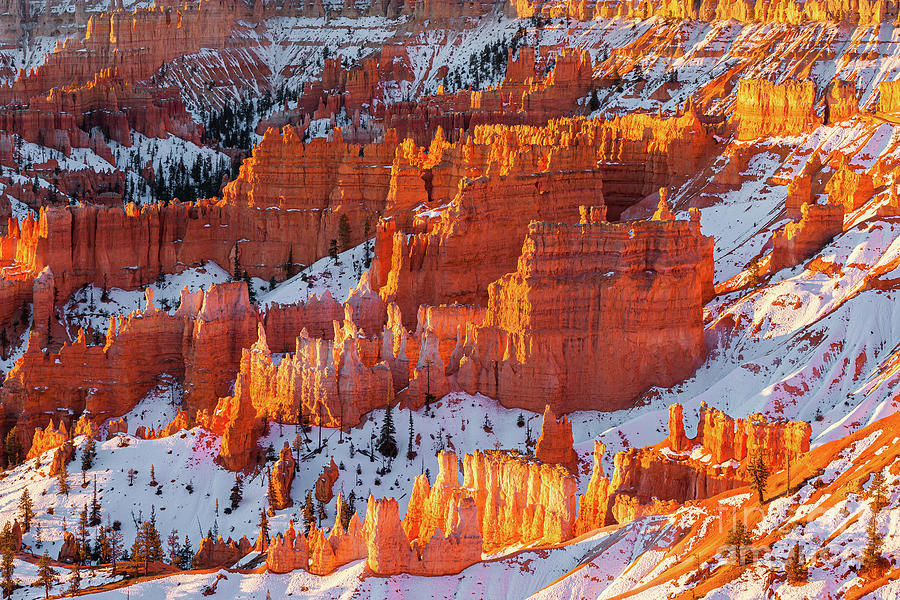 A Winter Sunrise in Bryce Canyon National Park Photograph by Henk Meijer Photography