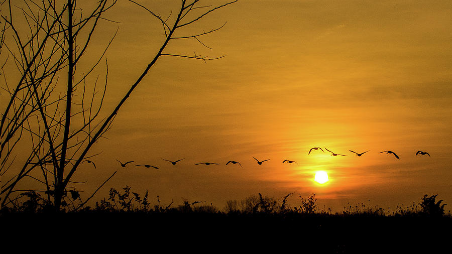 Sunrise in Lockport, Illinois #4 Photograph by David Morehead