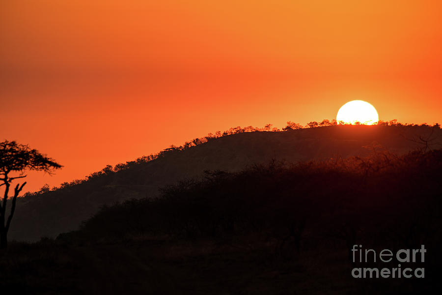 Фото south african sun фото