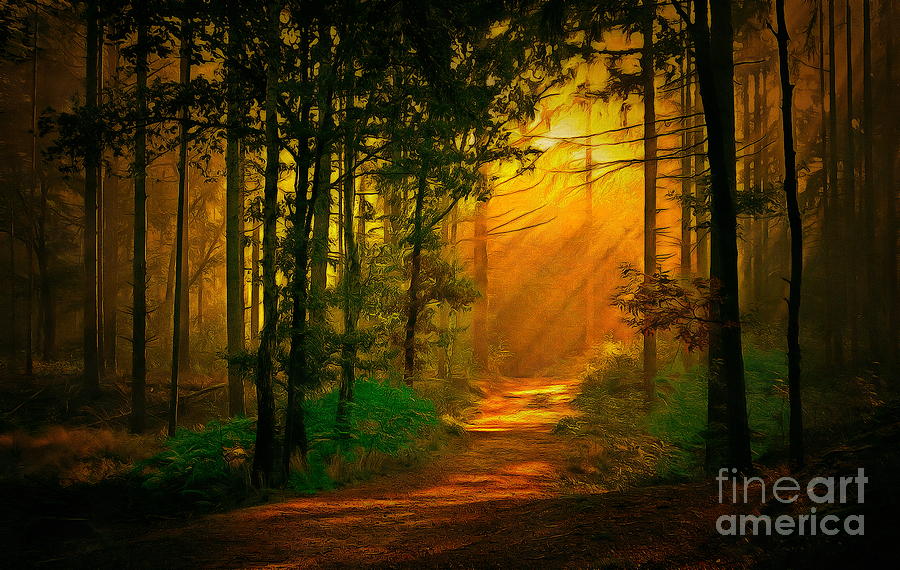 Sunrise In The Forest #1 Digital Art by Jerzy Czyz