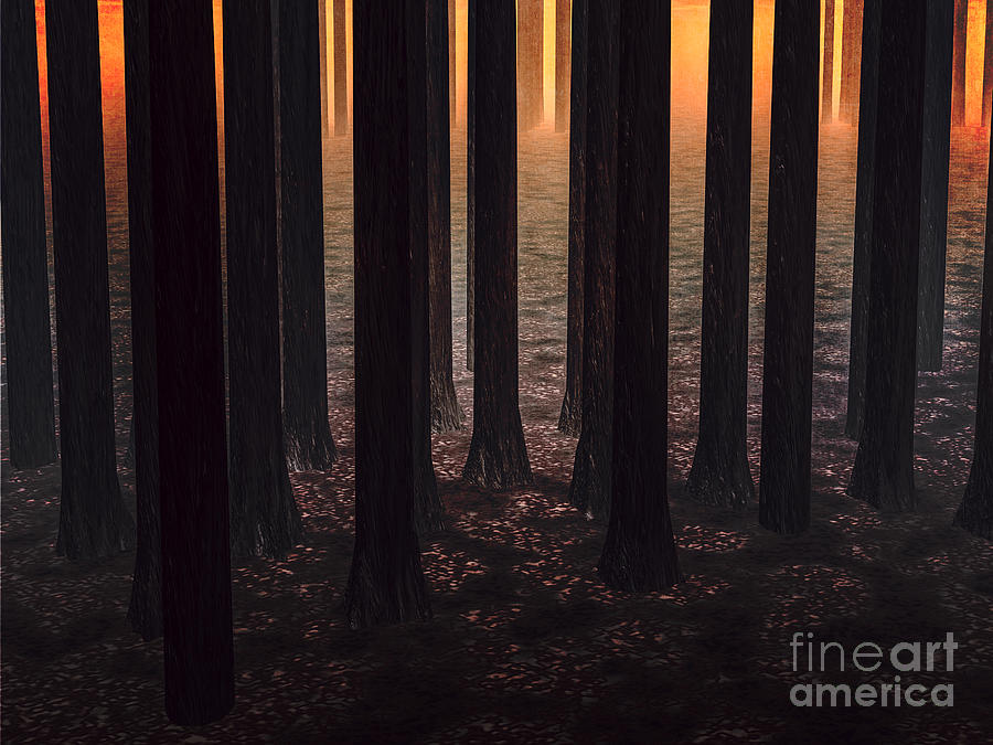 Sunrise In The Forest #1 Digital Art by Phil Perkins