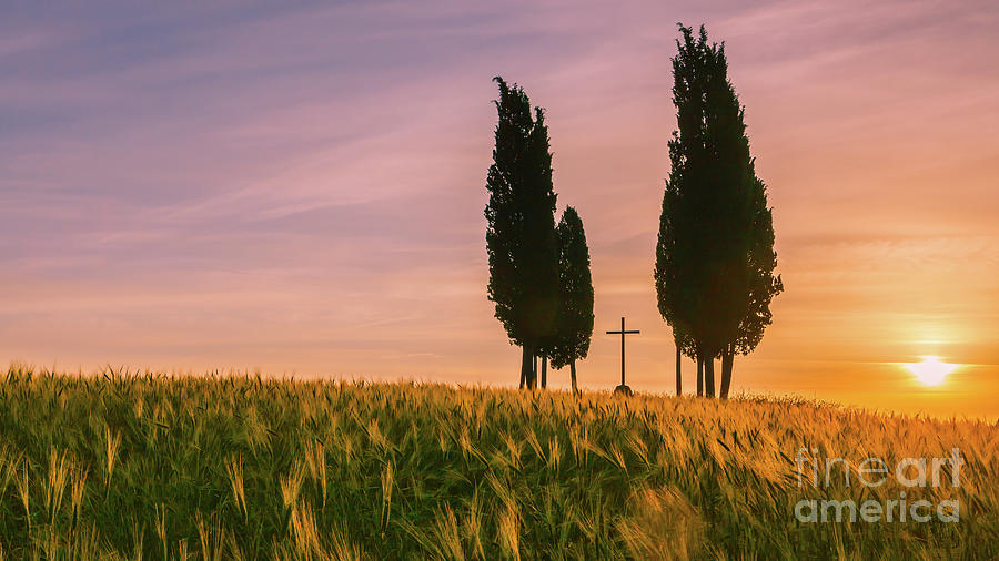 Sunrise in Tuscany #1 Photograph by Henk Meijer Photography