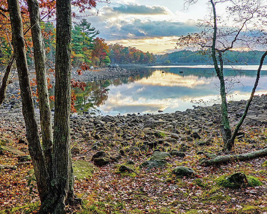Sunrise on Breeds Pond Lynn Woods Lynn Massachusetts Fall Foliage Trees #1 Photograph by Toby McGuire