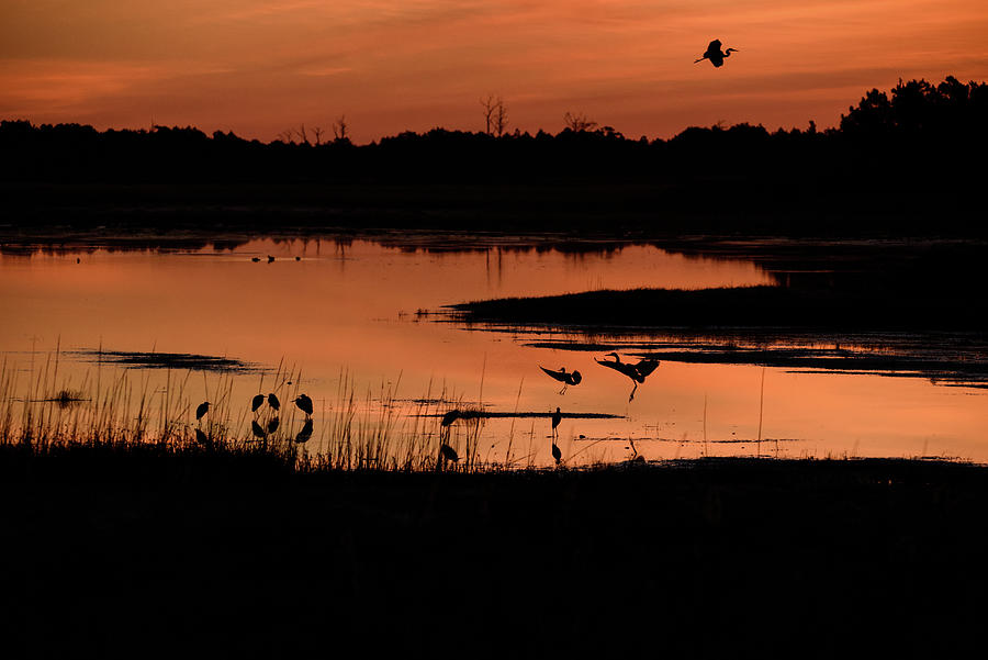 Sunrise on the Marsh #2 Photograph by Colin Hocking