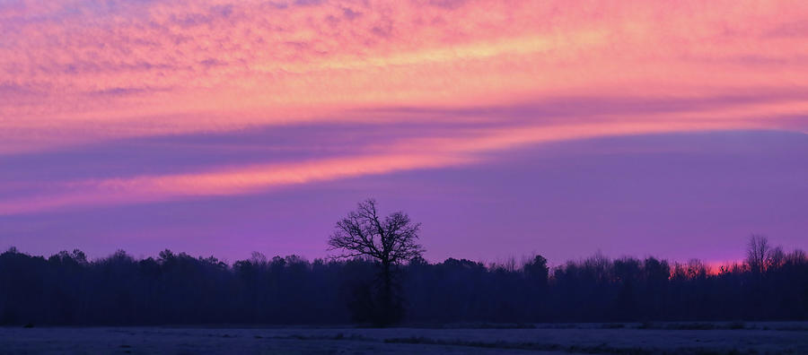Sunrise PANO #1 Photograph by Brook Burling