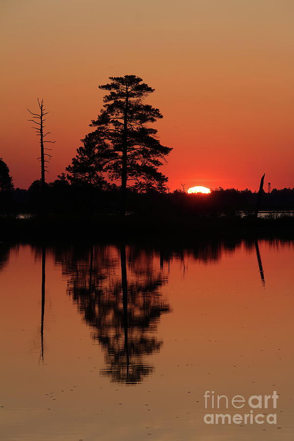 Sunrise Reflections Photograph By Teresa Mcgill Fine Art America