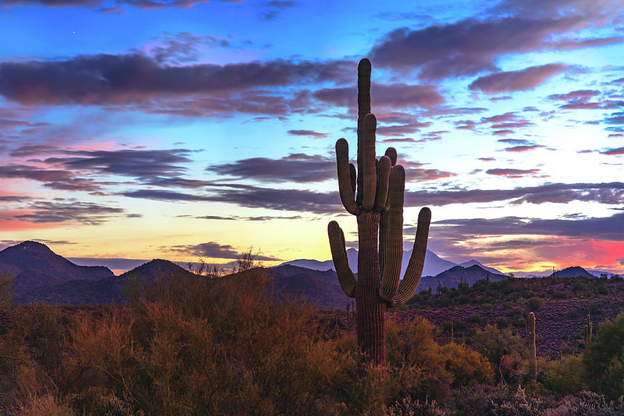 Sunrise Sweet Sunrise Photograph by Saija Lehtonen - Fine Art America