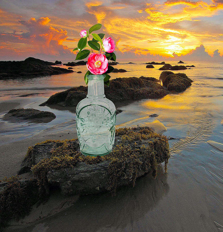 Sunset Bottle #1 Digital Art by Steven Parker