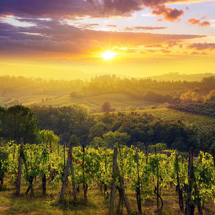 Sunset in Tuscany #1 Photograph by Peter Zelei Images
