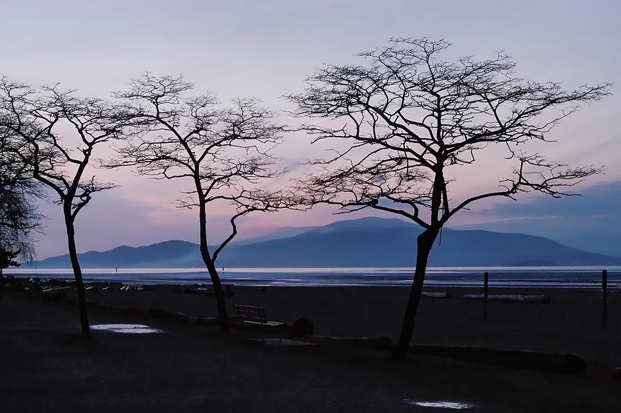 Sunset Photograph - Sunset Japanese style by Alexandre Michourovskii