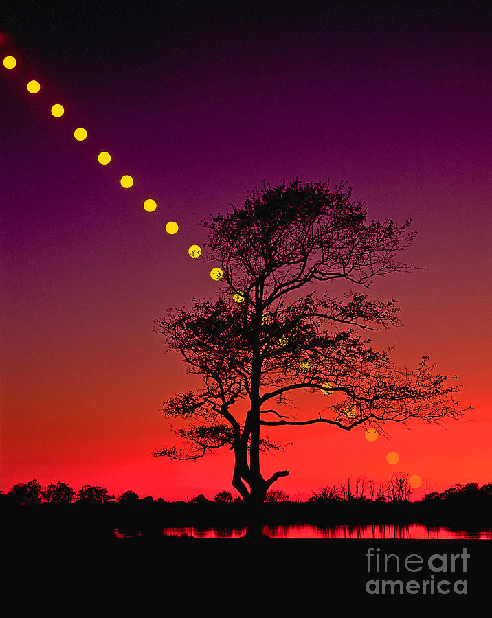Sunset #1 Photograph by Larry Landolfi