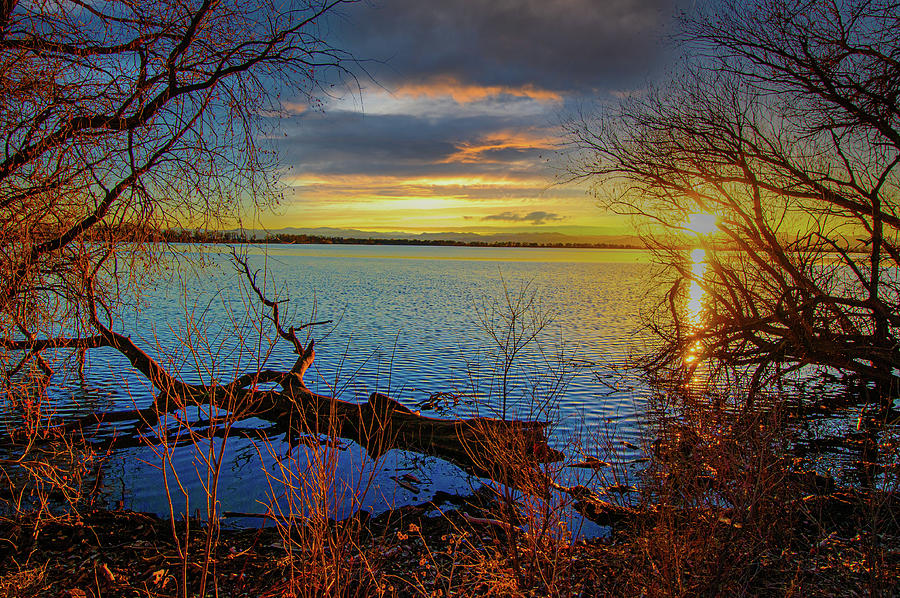 Sunset Over Barr Lake 2 Sunset over lake framed by bare tree branches, log floating nearby Photograph by Tom Potter