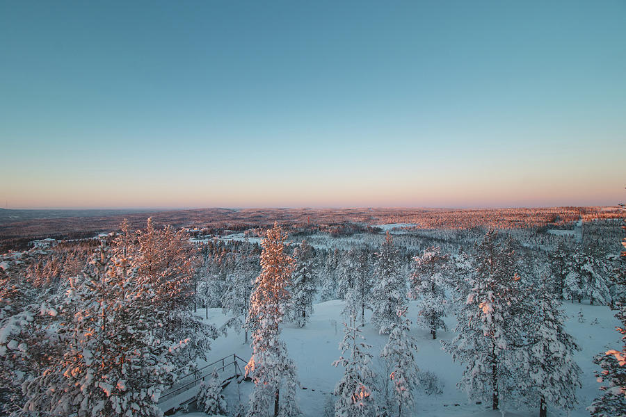 Sunset over snow-covered untouched forest, Finland #1 Photograph by Vaclav Sonnek