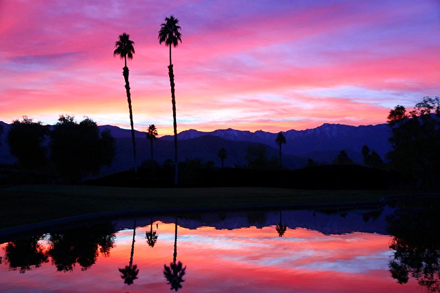 Sunset Palm Desert Photograph by Thomas Hartley Fine Art America