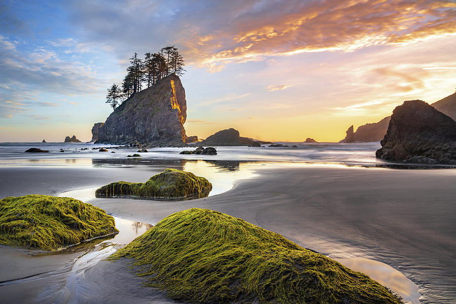 Sunset reflections on the beach at Olympic National Park Photograph by Robert Miller