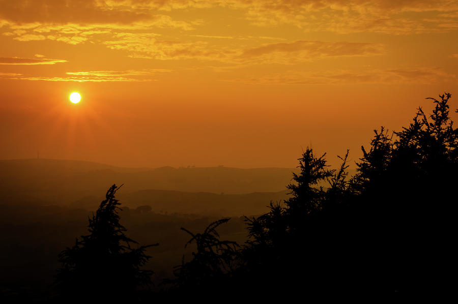 Sunset silhouettes of trees at the Roaches in the Peak District ...